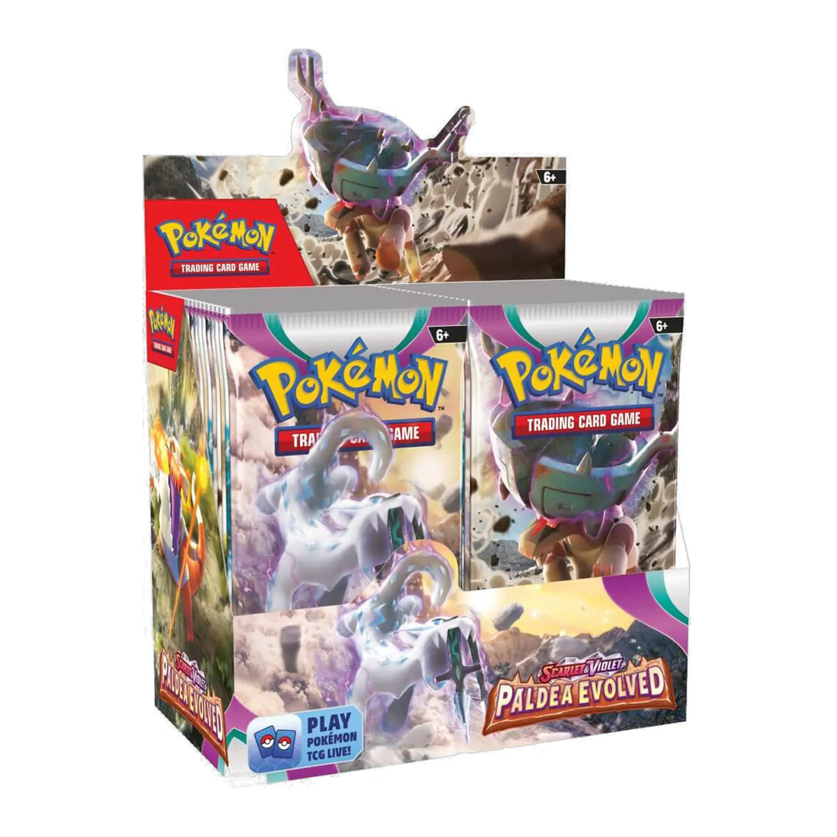 Paldea Evolved Booster Box