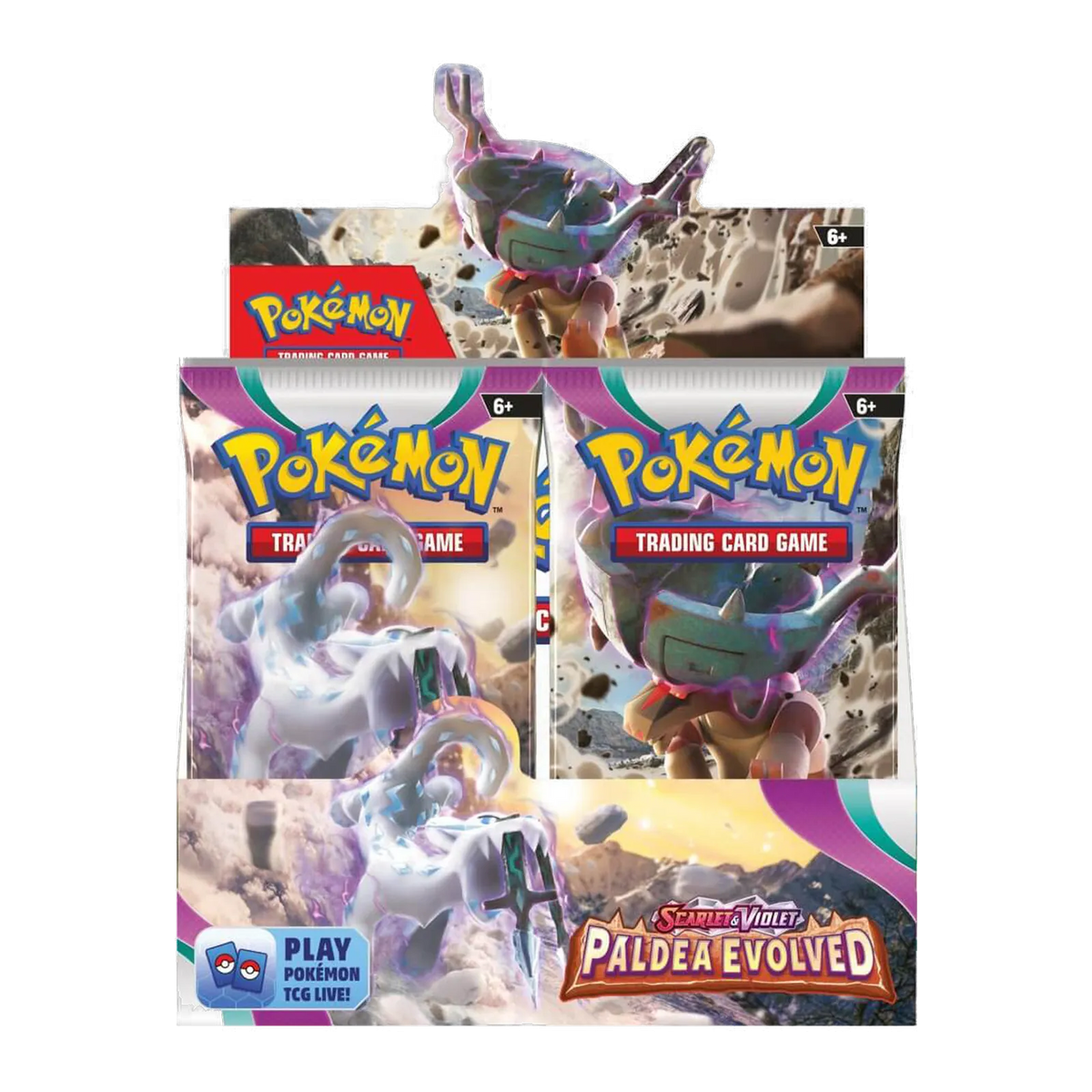 Paldea Evolved Booster Box