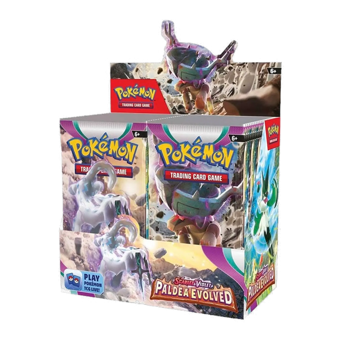Paldea Evolved Booster Box
